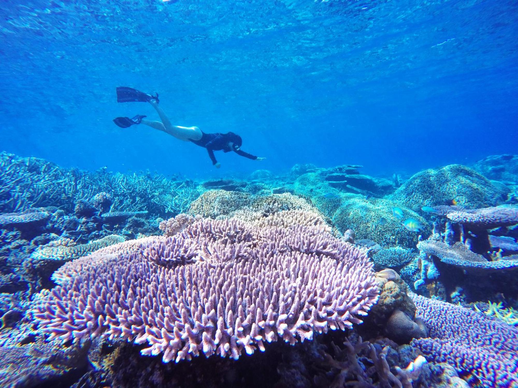 Bolilanga Island Resort - Togean Island Angkayo エクステリア 写真
