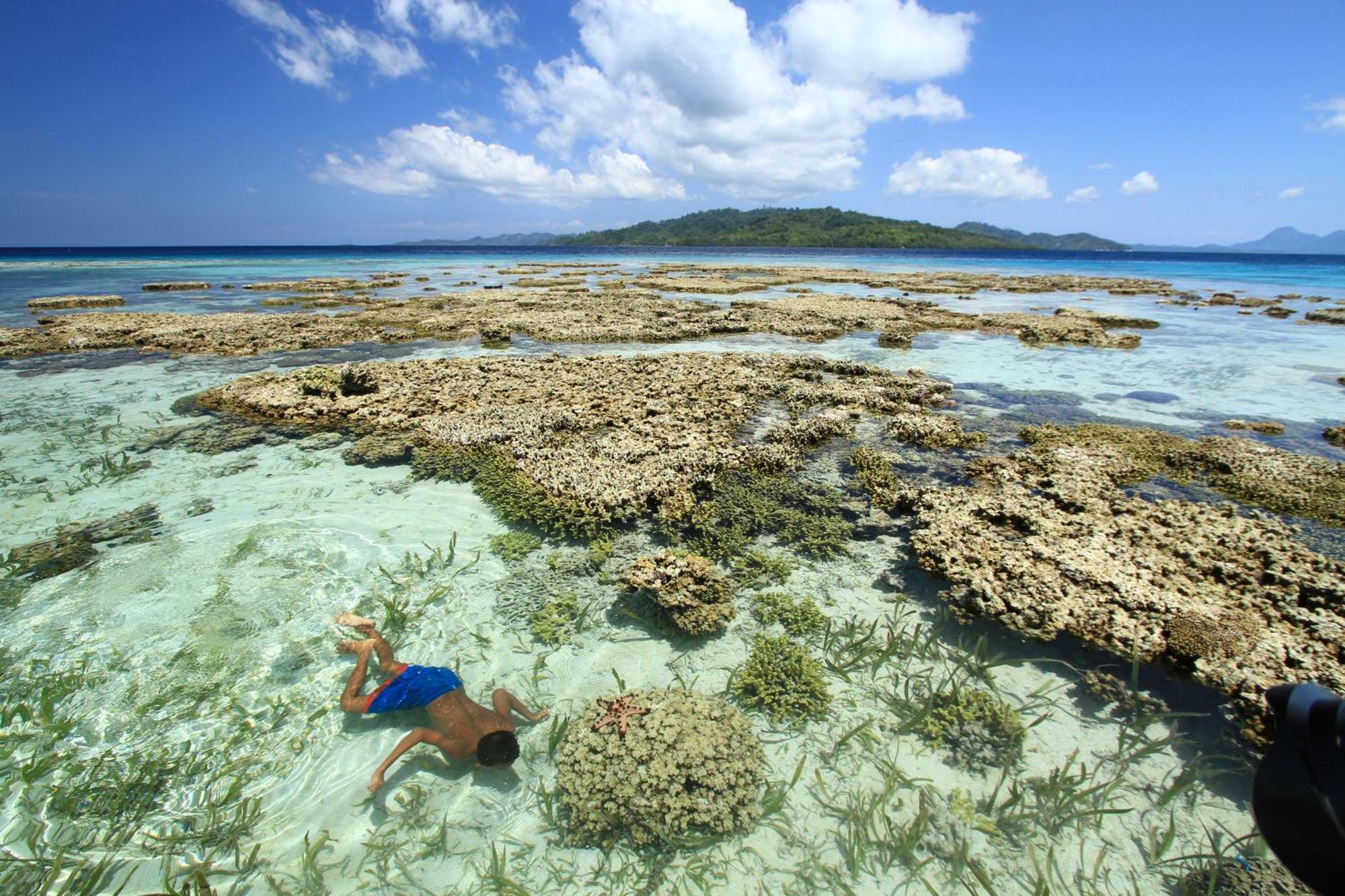 Bolilanga Island Resort - Togean Island Angkayo エクステリア 写真