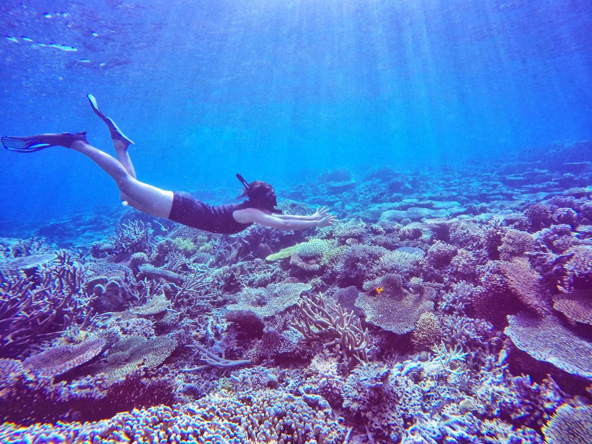 Bolilanga Island Resort - Togean Island Angkayo エクステリア 写真