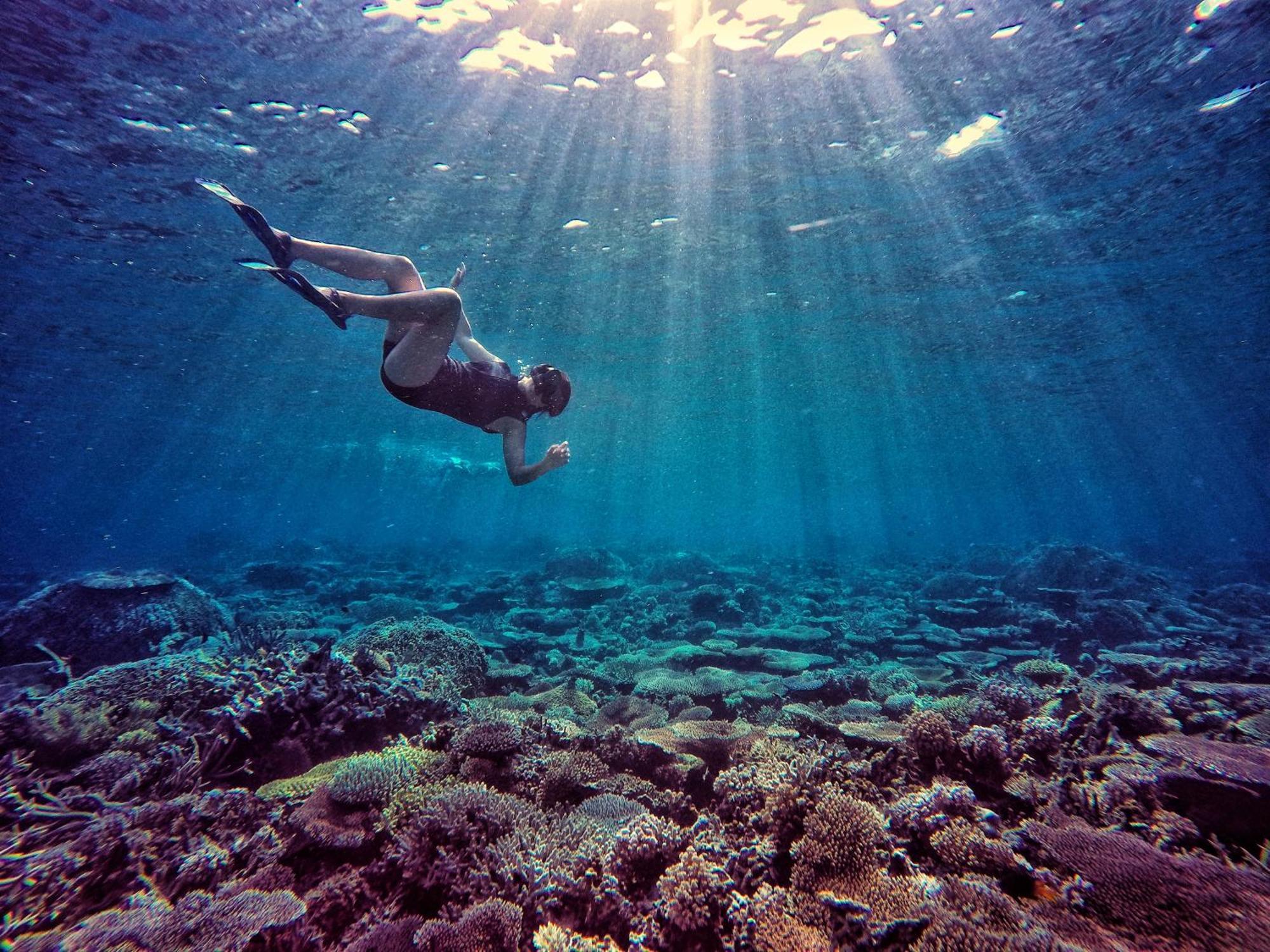 Bolilanga Island Resort - Togean Island Angkayo エクステリア 写真